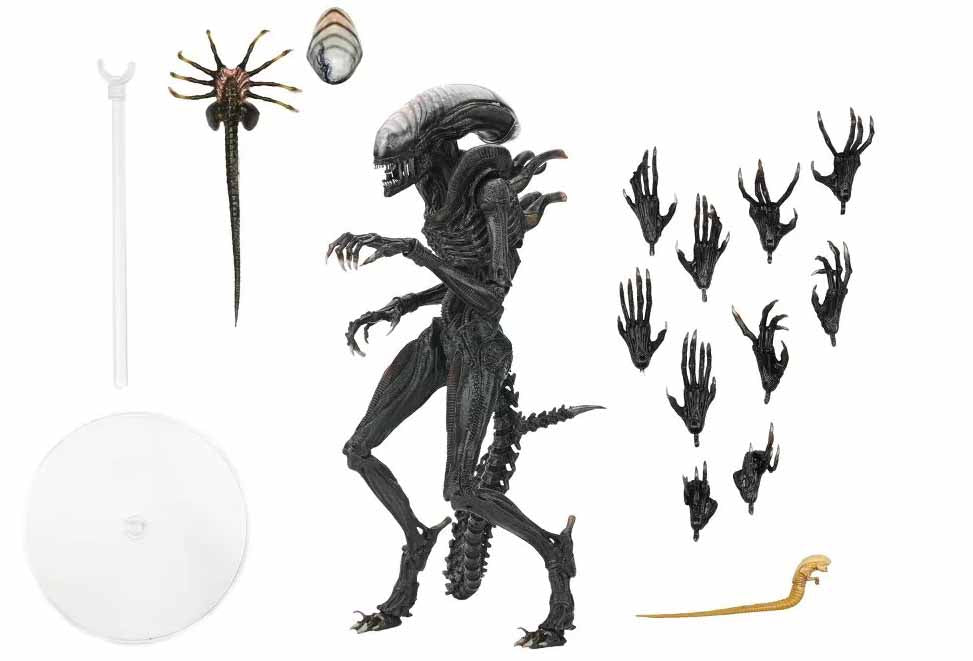 SF・ファンタジー・ホラー NECA Alien Romulus Scorched Xenomorph Alien Romulus 7 Inch Action Figure Ultimate - Scorched Xenomorph