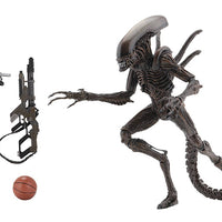 Aliens 7 Inch Action Figure Series 14 - Set of 2 (Alien Warrior - Ripley)