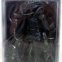 Aliens 9 Inch Action Figure Series 2 - Aliens Xenomorph Warrior