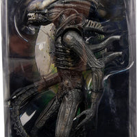 Cult Classic Presents Action Figure: Classic Alien