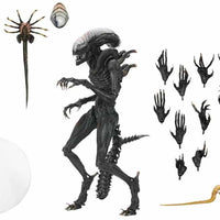 Alien Romulus 7 Inch Action Figure Ultimate - Scorched Xenomorph