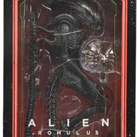 Alien Romulus 7 Inch Action Figure Ultimate - Scorched Xenomorph