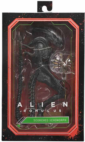 Alien Romulus 7 Inch Action Figure Ultimate - Scorched Xenomorph