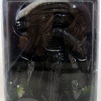 Aliens 9 Inch Action Figure Series 2 - 1979 Alien Xenomorph