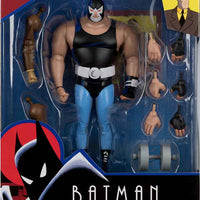 DC Direct Batman The Animated Series 6 Inch Action Figure BAF Bruce Wayne - Bane