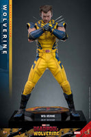 Deadpool & Wolverine 12 Inch Action Figure 1/6 Scale - Wolverine Deluxe Version Hot Toys 9134872