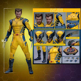Deadpool & Wolverine 12 Inch Action Figure 1/6 Scale - Wolverine Deluxe Version Hot Toys 9134872