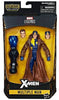 Marvel Legends X-Men 6 Inch Action Figure BAF Apocalypse - Multiple Man