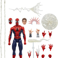 Marvel Legends 6 Inch Action Figure Maximum Series - Spider-Man
