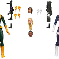 Marvel Legends 6 Inch Action Figure 2-Pack - S.H.I.E.L.D. Agent Trooper and Hydra Trooper