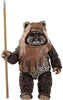 Star Wars The Black Series 6 Inch Action Figure Box Art (2023 Wave 2A) - Wicket W. Warrick