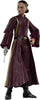 Star Wars The Black Series 6 Inch Action Figure Box Art (2024 Wave 1B) - Padme Amidala