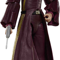 Star Wars The Black Series 6 Inch Action Figure Box Art (2024 Wave 1B) - Padme Amidala