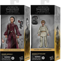 Star Wars The Black Series 6 Inch Action Figure Box Art (2024 Wave 1B) - Set of 2 (Padme - Anakin)