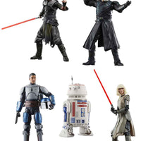 Star Wars The Black Series Disney+ Ahsoka 6 Inch Action Figure Box Art (2023 Wave 3B) - Set of 5