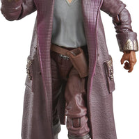Star Wars The Vintage Collection 3.75 Inch Action Figure (2024 Wave 4A) - Jod Na Nawood VC310