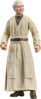 Star Wars The Vintage Collection 3.75 Inch Action Figure (2026 Wave 2B) - Old Anakin Skywalker VC405