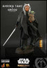 Star Wars The Mandalorian 11 Inch Action Figure 1/6 Scale DX21 - Ahsoka Tano and Grogu Hot Toys 908145