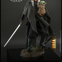 Star Wars The Mandalorian 11 Inch Action Figure 1/6 Scale DX21 - Ahsoka Tano and Grogu Hot Toys 908145