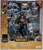 World Of Warcraft 7 Inch Static Figure Rare Wave 1 - Elf Druid & Rogue