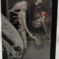 Alien Covenant 7 Inch Scale Action Figure Series 1 - Alien Neomorph