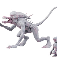 Alien & Predator Classics 5 Inch Action Figure Series 1 - Neomorph Alien