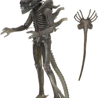 Alien 40th Anniversary 7 Inch Action Figure Series 4 - Giger's Alien