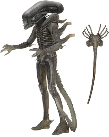 Alien 40th Anniversary 7 Inch Action Figure Series 4 - Giger's Alien