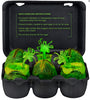 Aliens 7 Inch Scale Action Figure Collectible Carton - Glow In The Dark Egg Set