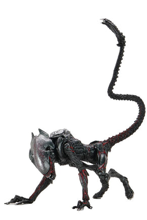 Aliens Kenner Tribute 9 Inch Action Figure Ultimate - Night Cougar Alien