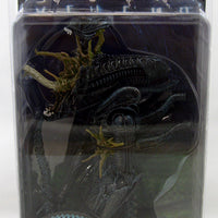 Aliens 7 Inch Action Figure Series 12 - Xenomorph Warrior Blue
