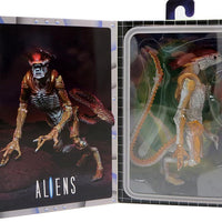 Aliens 9 Inch Action Figure Ultimate - Panther Alien