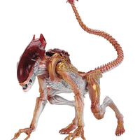 Aliens 9 Inch Action Figure Ultimate - Panther Alien
