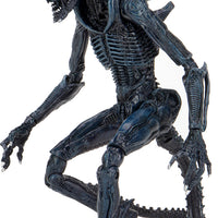 Aliens vs Predator Game Movie Deco 9 Inch Action Figure Ultimate - Arachnoid Alien