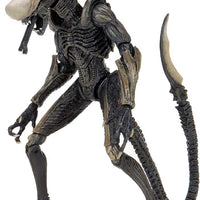 Aliens vs Predator Game Movie Deco 9 Inch Action Figure Ultimate - Chrysalis Alien