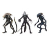 Aliens vs Predator Game Movie Deco 9 Inch Action Figure Ultimate - Set of 3 (Arachnoid - Razor - Chrysalis)