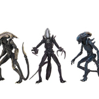 Aliens vs Predator Game Movie Deco 9 Inch Action Figure Ultimate - Set of 3 (Arachnoid - Razor - Chrysalis)