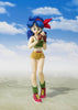 Dragonball 6 Inch Action Figure S.H. Figuarts - Lunch