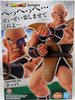 Dragonball Z World Tour Super Battle 10 Inch Static Figure Ichiban - Nappa