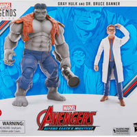 Marvel Legends Avengers 6 Inch Action Figure 2-pack - Gray Hulk and Dr Bruce Banner