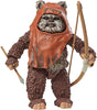 Star Wars 40th Anniversary 6 Inch Action Figure (2023 Wave 1) - Wicket