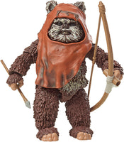 Star Wars 40th Anniversary 6 Inch Action Figure (2023 Wave 1) - Wicket