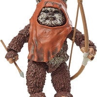 Star Wars 40th Anniversary 6 Inch Action Figure (2023 Wave 1) - Wicket