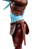 Star Wars The Black Series 6 Inch Action Figure Box Art (2022 Wave 3) - Aayla Secura