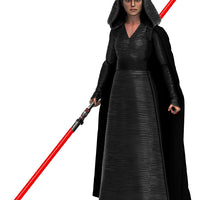 Star Wars The Black Series Box Art 6 Inch Action Figure Wave 3 - Rey Dark Side Vision