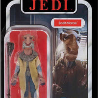 Star Wars The Vintage Collection 3.75 Inch Action Figure (2023 Wave 2A) - Saelt-Marae VC132