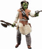 Star Wars The Vintage Collection 3.75 Inch Action Figure (2023 Wave 2A) - Wooof VC24