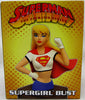 Superman Animated Series 6 Inch Bust Statue - Supergirl Bust